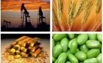 Commodity trading guide